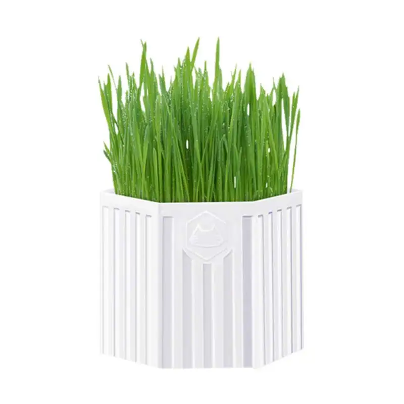 Cat Snacks Spit Hair Ball Cat Grass Catnip Breeding Hydroponic Planting Set