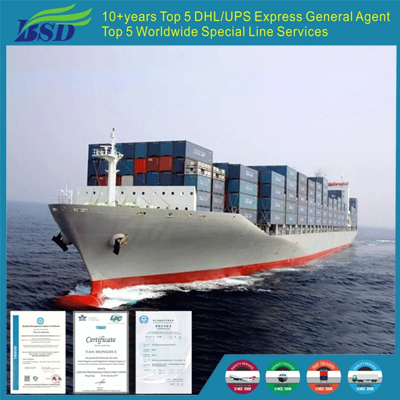 Ddp Door to Sea Air Freight Forwarder Service Shipping Agents Douala Cameroon From China