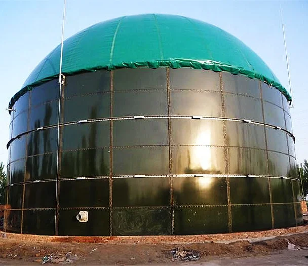 Integrated  biogas digester for electricity generation
