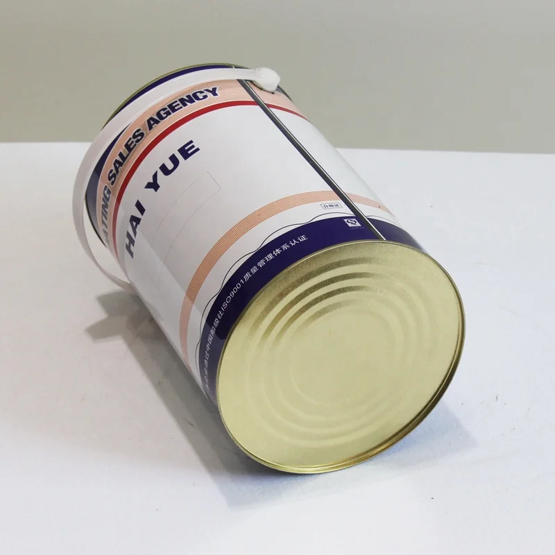 Printed Small 5L Empty Tall Round Tin Paint Can with Plain Lever Lid China Manufacturer