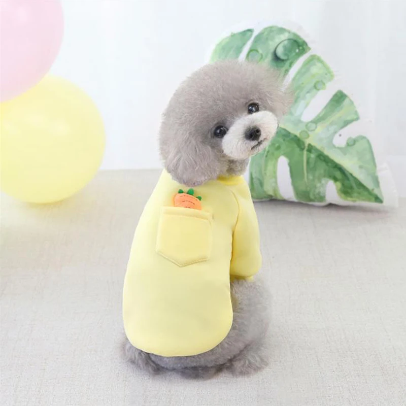 Wholesale Cheap Multicolor Keep Warm Winter Pet Accessories Designer Luxury cotton Printing Big Small Dog