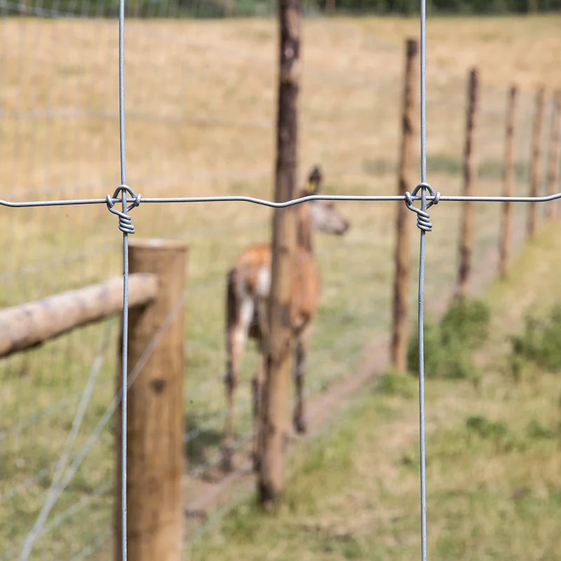 High Quality Horse Style Pasture Fixed Knot Animal Pasture Horse Ranch Fencing
