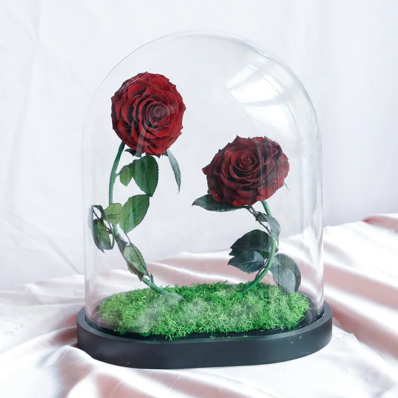 2020 Feiliya factory wholesale immortal eternal flower roses preserved glass dome