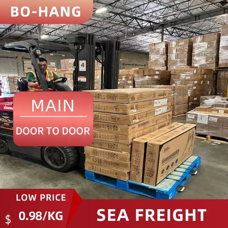 Cheap Sea Freight International Shipping Forwarding Agent China to Qatar Turkey Israel Bahrain FCL LCL door to door service