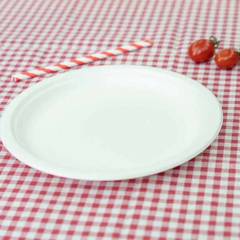 wholesale biodegradable sugarcane tableware disposable bagasse 10 inch compostable paper plates