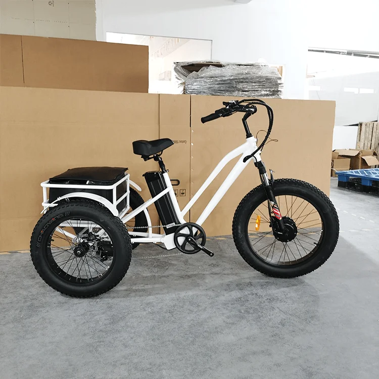 New Arrival  Three Wheels Cargo Ebike Aluminum Lithium Battery Disc Brake 500W 24/20 Inch Fat Tire Electric 3 Wheel Bicycle