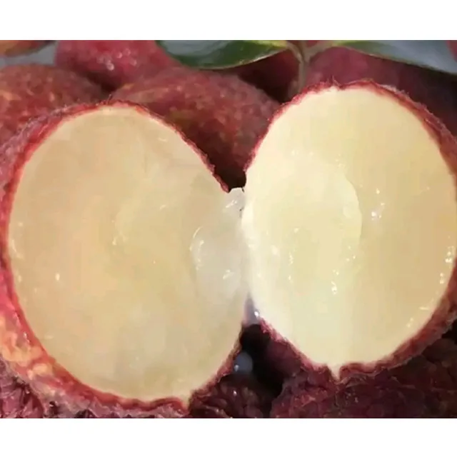 Very popular of fresh Hainan seedless litchi and seedless lychee