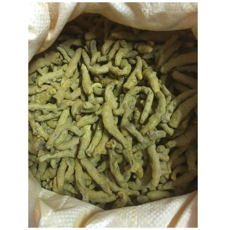 Turmeric Finger Chola Superfoods Money Saving Turmeric Finger Cost Effective CSF/TUFI/2022-2023 Turmeric Finger