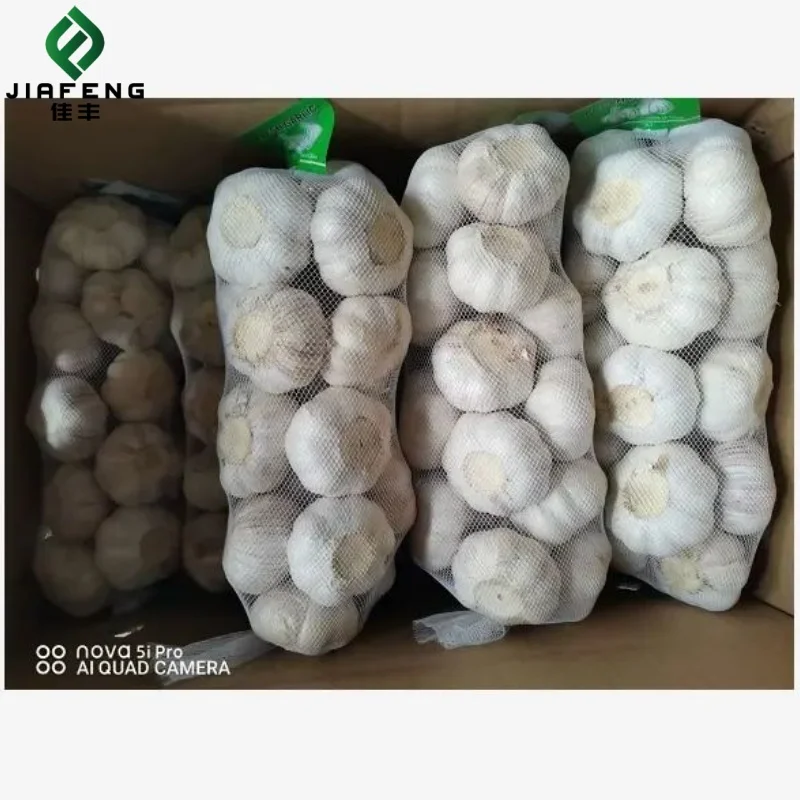pure white garlic fresh New Season fresh China Garlic For Export Certified Fresh Pure White Garlic