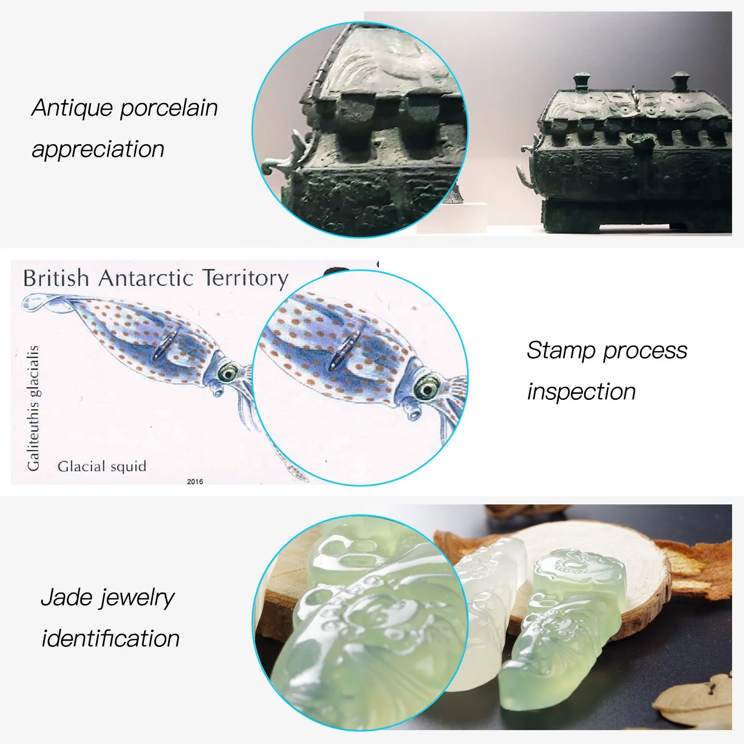 Various observations Wifi Digital Microscope  Camera