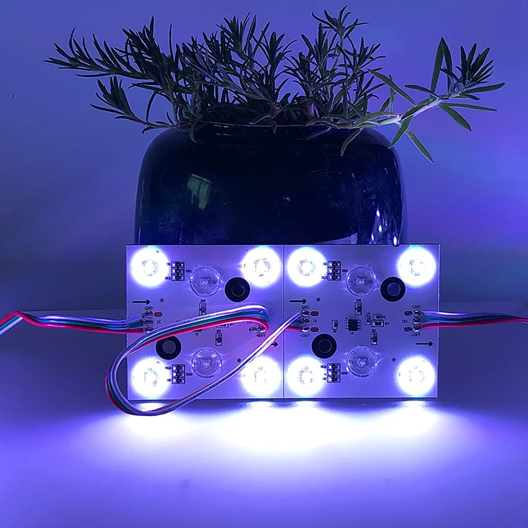 Addressable TM1814 RGBW LED Module Dream Color SPI Signal Programmable Diffused Lens 24V 90CRI for Ceiling Lightbox ad Lighting