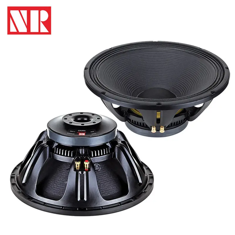 18 inch ferrite magnet speaker driver units for subwoofer and bass from NR Audio