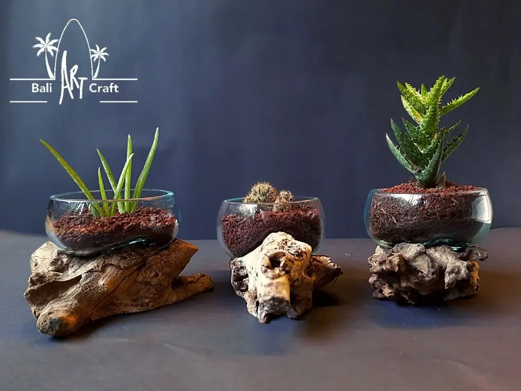 Driftwood Molten Glass Terrarium Aquarium Garden Supplies Decorative Half Open Bottle Terrarium Wholesale Supplies Plant