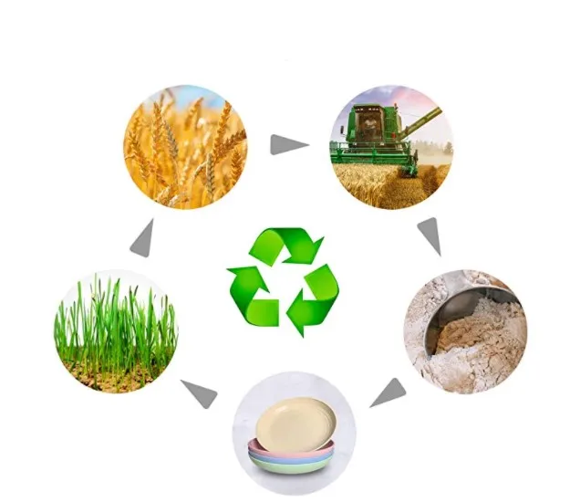 Durable Plastic Plate Plate Manufacturers Plates Reusable