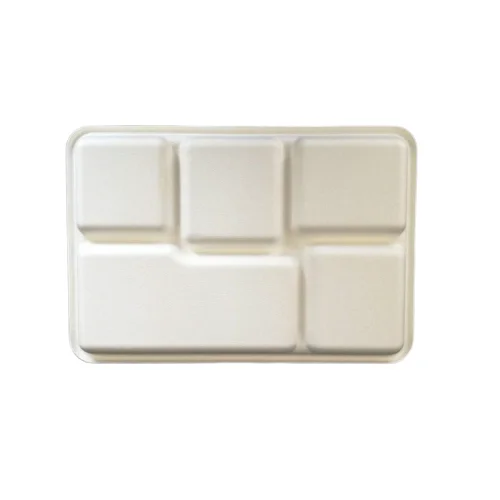 Biodegradable compostable Sugar Cane Lunch Tray Canteen Lunch 5 cpt Paper Tray