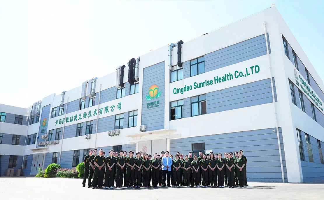 Low Price Food Supplement  Cheap Vegan Coenzyme Q10 Softgel Capsule