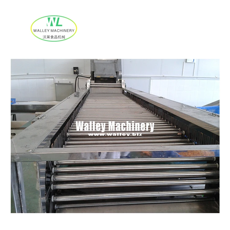 Factory Supply Price Automatic  Vegetables and Fruits Roller Grader Suit Cucumber Cherry Tomato Grading Sorting