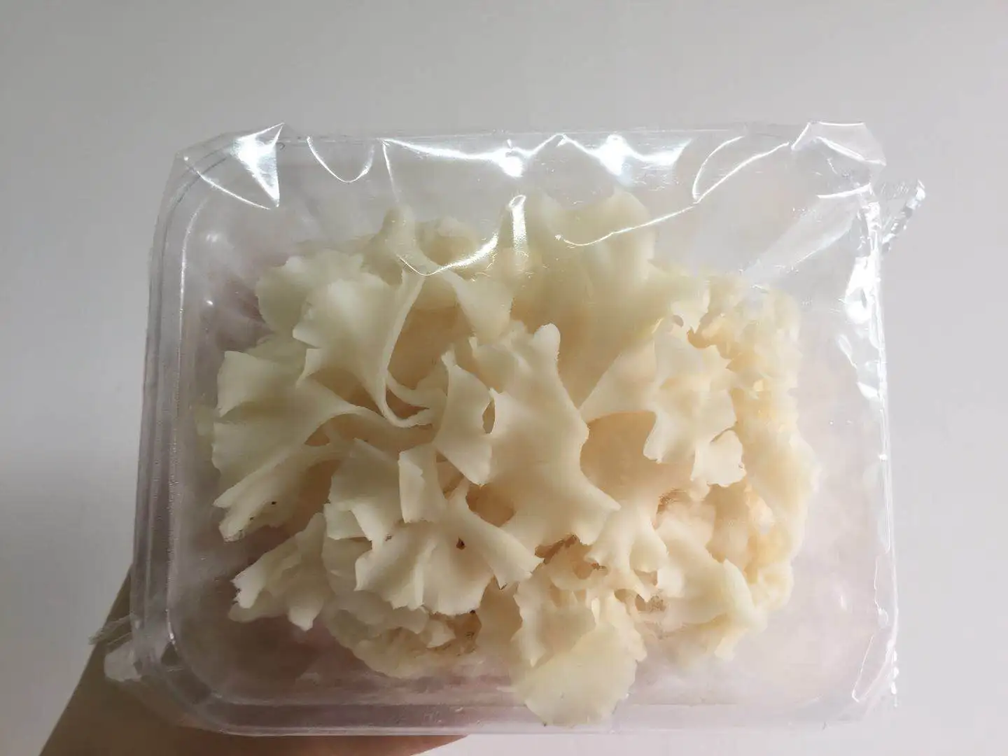 
Detan Sparassis Crispa Mushroom 