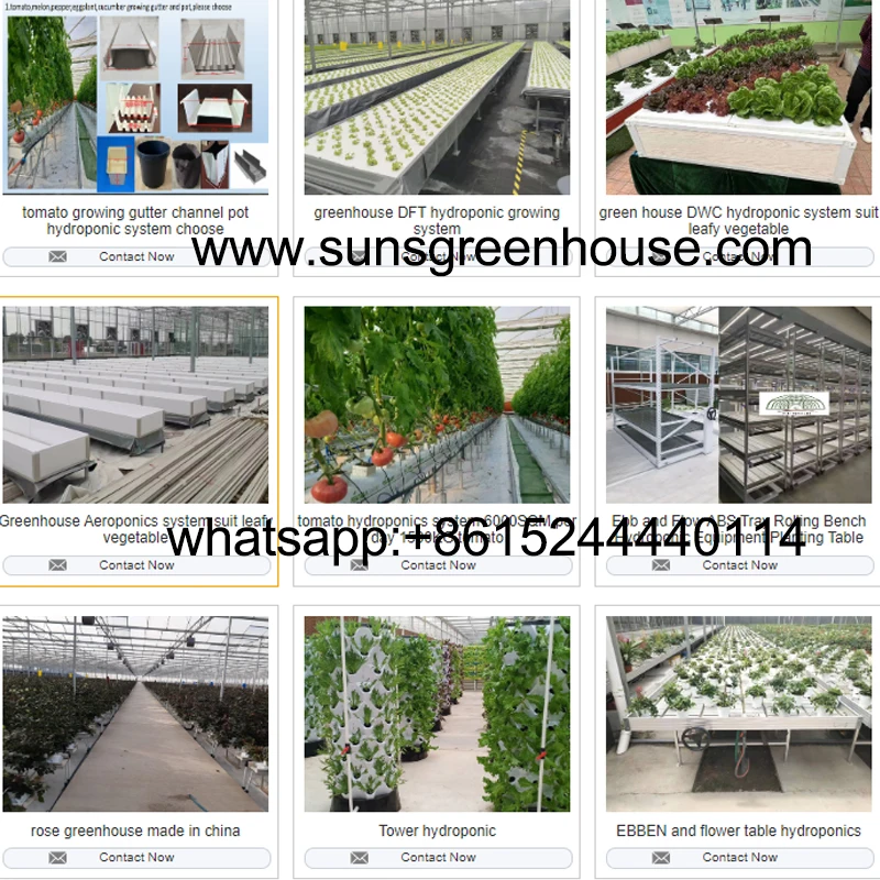 SUNSGH china Greenhouse factory green house price