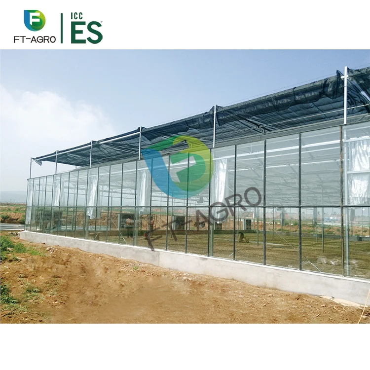 Wholesale Venlo type glass greenhouse China factory price manufacture greenhouse