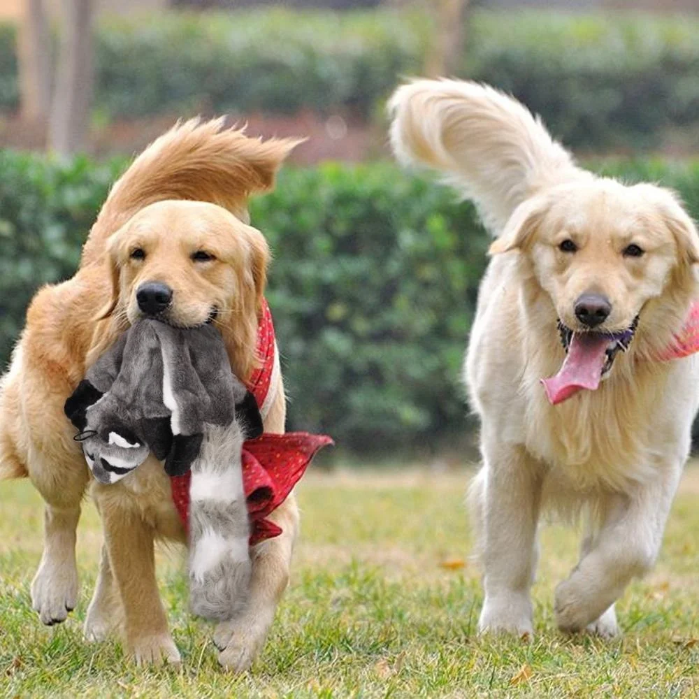 Wholesale Plush Animal Dog Toy Set Value Pack 5 Squirrel Squeaky Toys Unstuffed Chew dogs Toy