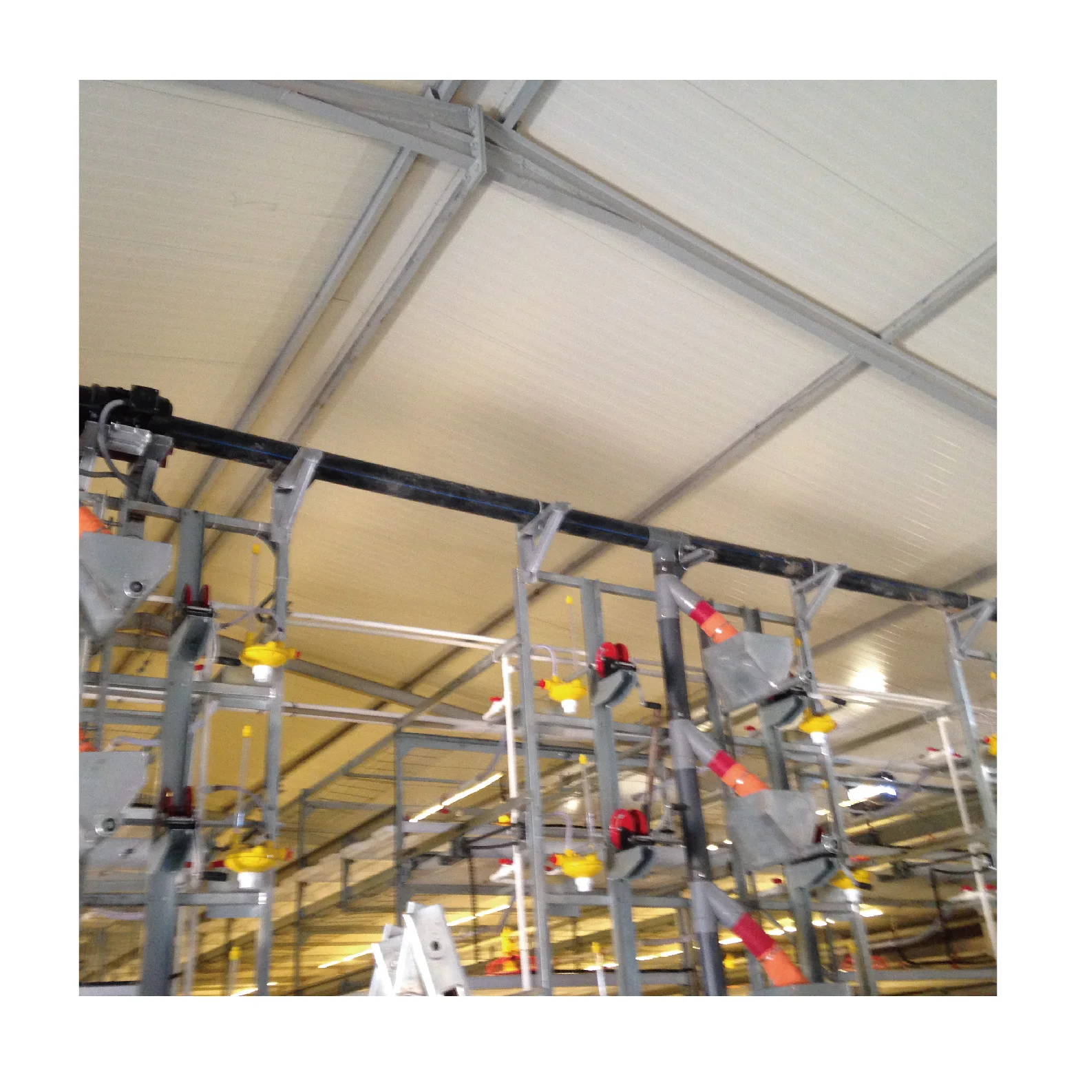 Оцинкованная стальная клетка для птицеводства с длительным сроком службы