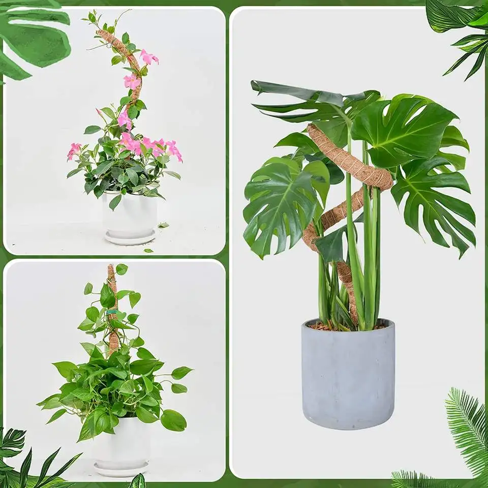 Best Selling   Deformable Plant Climbing Frame Coconut Palm Green Radish Gardening Bracket Coconut Palm Sticks Moss Pole
