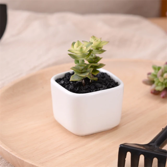 J833 Desk Office Decor White Artificial Small Fleshy Flowerpot Ceramic Mini Square Green Succulent Plant Pot