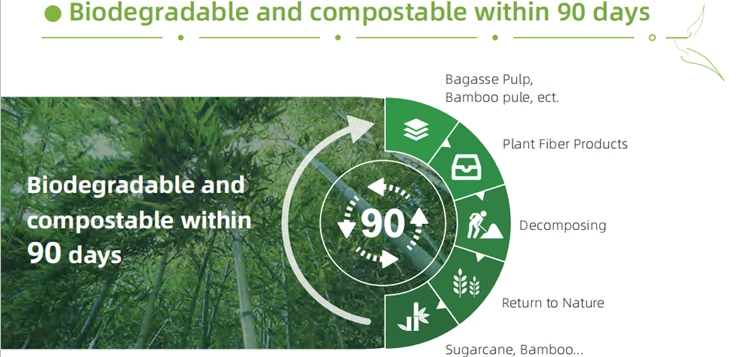 LUZHOU Natural Sugarcane Bagasse Renewable Plant Fiber Tree Free 3-Compartment Clam Shell Container