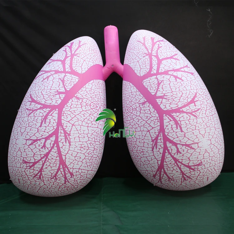 Realistic Giant Inflatable Human Visceral Organs Inflatable Lung Body Model For Event Display