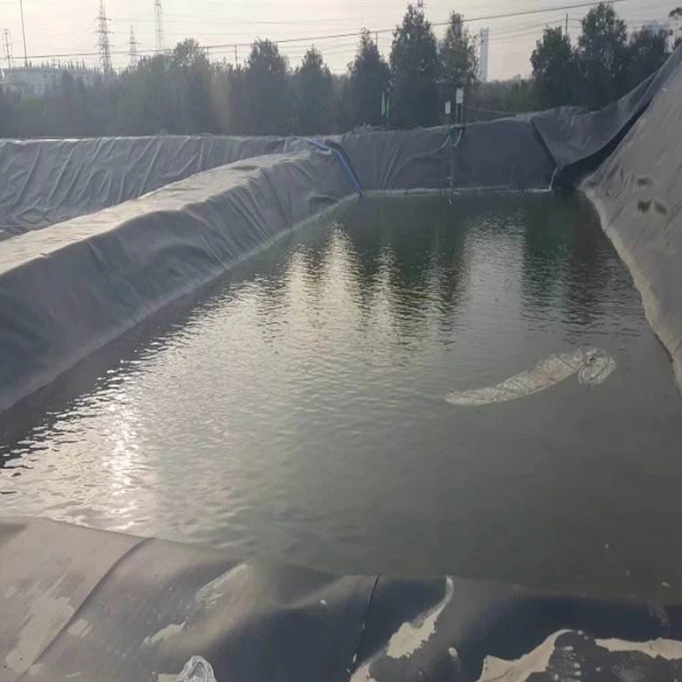 China supplier high quality HDPE geomembrane sheet hdpe pond liner