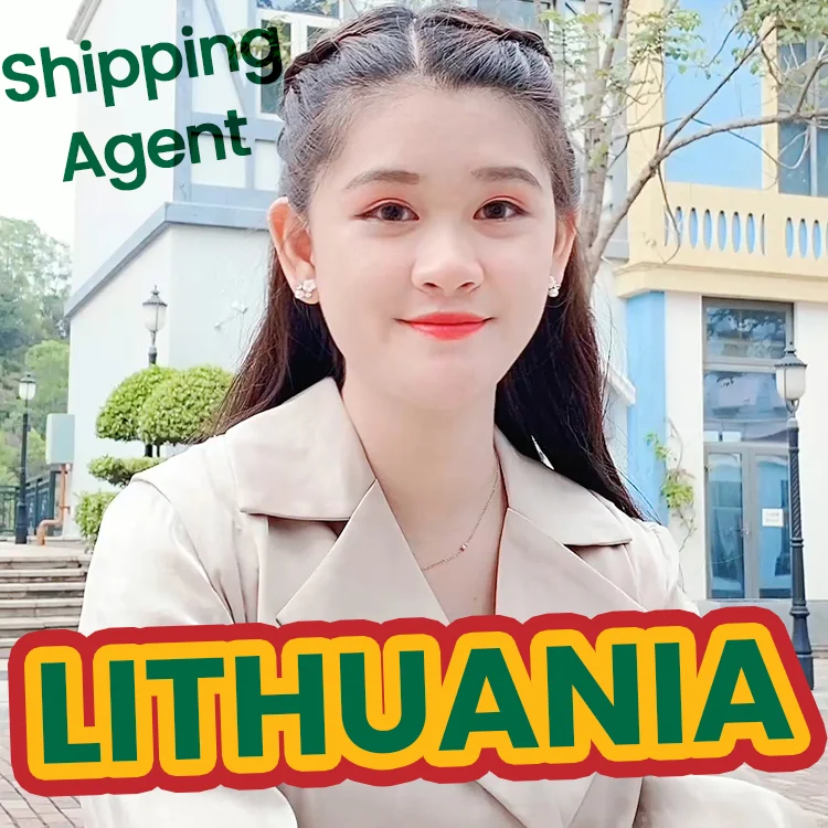 Профессиональная быстрая доставка в Литву Dhl