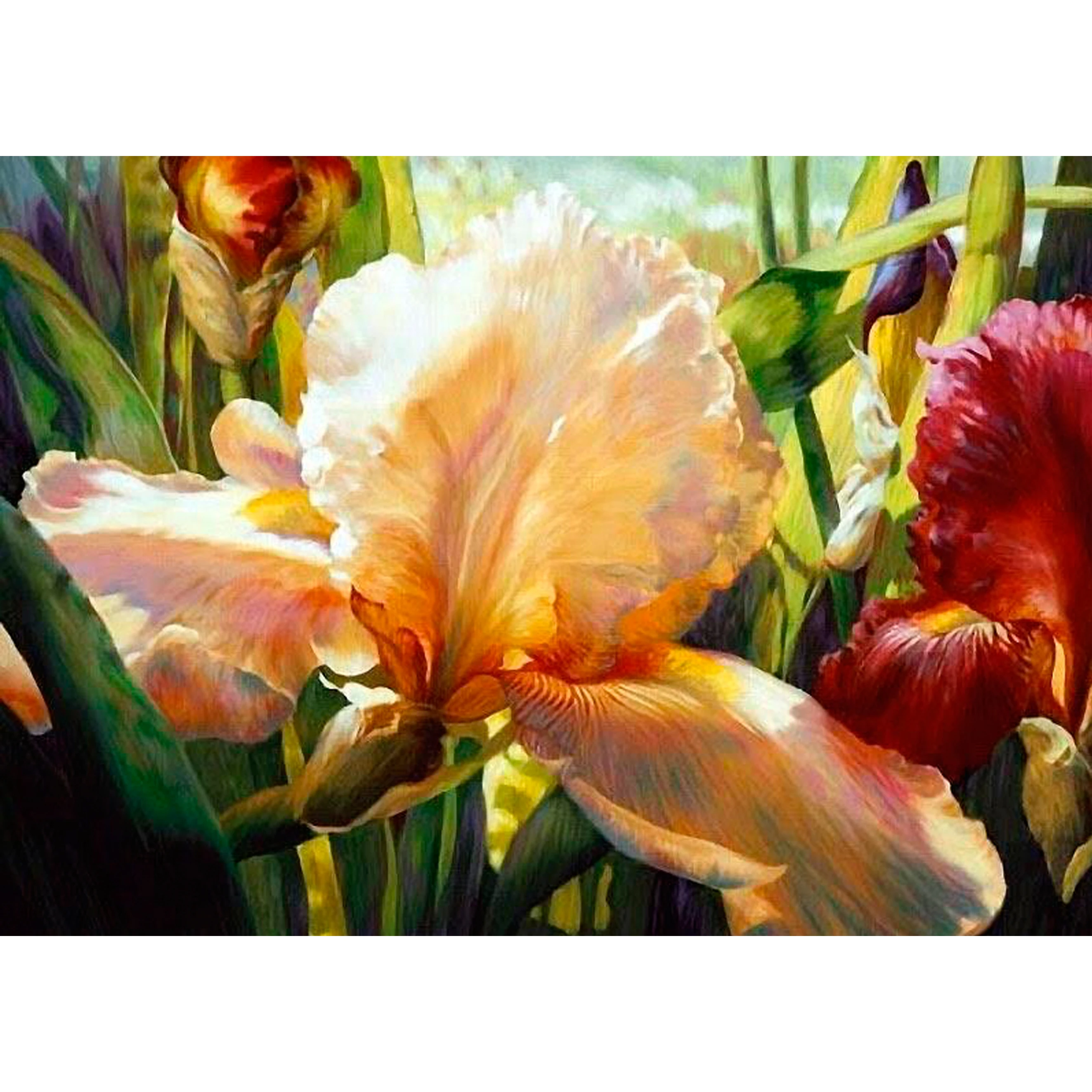 Flower DIY Oil Painting by Number Drawing Canvas Frameless Paint by Numbers Artcrafts Kits Paintings Home Decor Gifts Set Adults
