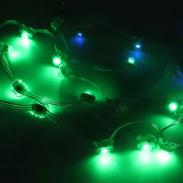 Waterproof IP65 Building Facade 1903IC DC5V 12V 0.3W Led Point Light Source For Landscape