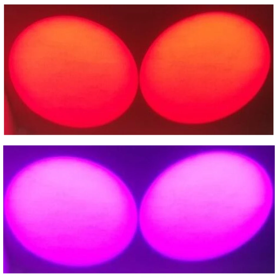 LD-60PRLS-RGBW COB 60W LED Zoom Bean Angle Profile Light DMX512 Stage Light For Party Performance Exhibition