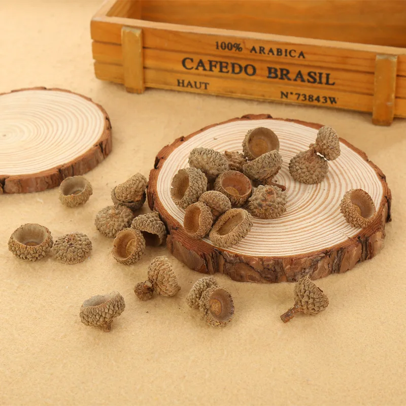 Thanksgiving Mini Brown Christmas Natural Pine Cones Ornaments in Bulk for Home Decoration