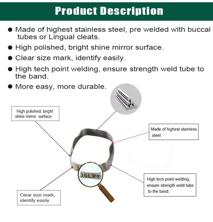 Welded Dental Materials Orthodontic Metal Molar Bands