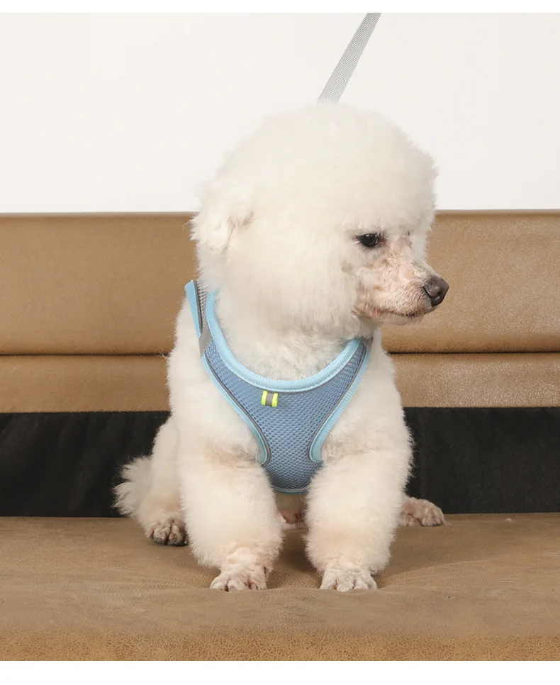 Pet Chest Strap Dog Traction Rope Mesh Breathable Strap Harness And Nylon Dog Leash