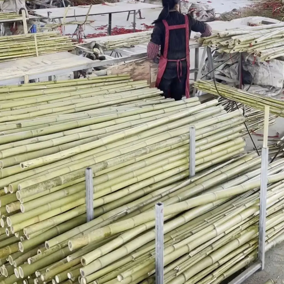 Wholesale Price Natural Decoration Building Construction Big Bamboo Pole