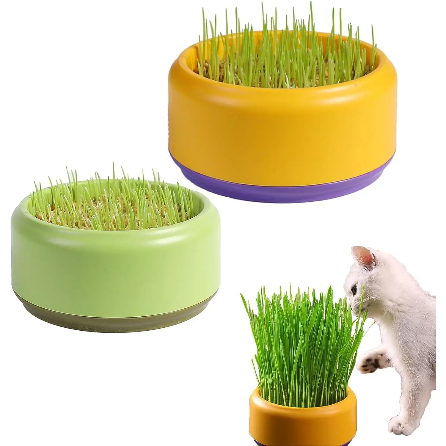 Wholesale Plastic Catgrass Hydroponic Box Set Soilless Catnip Planting Container with Wheat Seed for Cat SnacksManufacturers