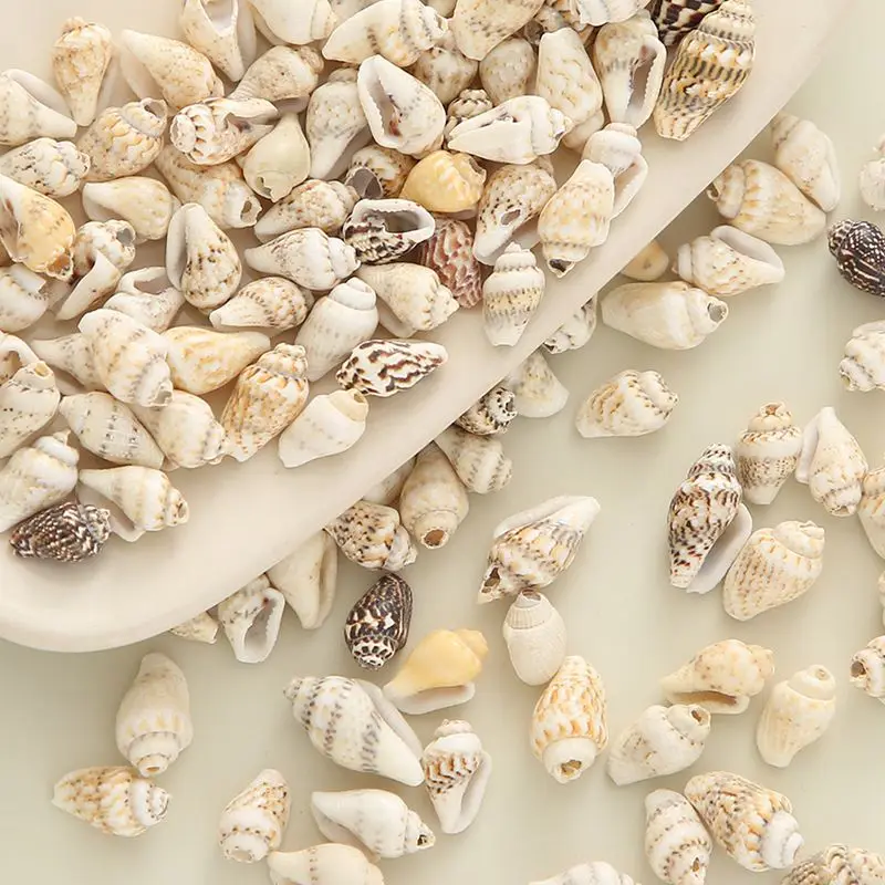 Different mother of pearl shell Bead Conch Seashell Cowrie For DIY Home Decoration And DIY Jewelry Making