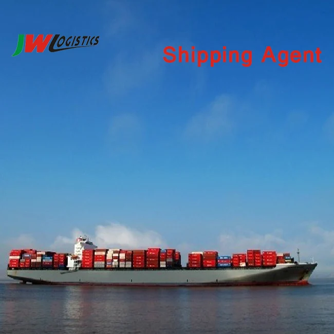 China top 10 sea freight forwarders to USA/Canada/European Inspection Service