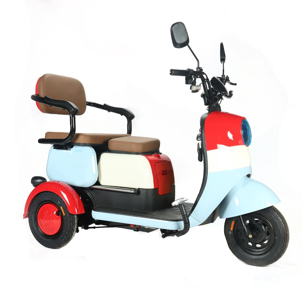 Factory Wholesale Adult Cargo E Tricycle Bike 650W Electric Ebike 3 Wheel Tricycle