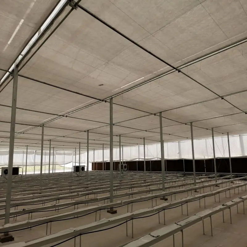 Tropical Plastic Film Multi Span Greenhouse With Galvanized Steel Frame