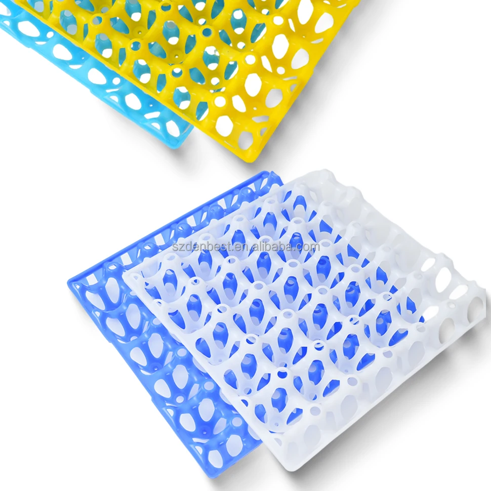 Egg tray-37.jpg