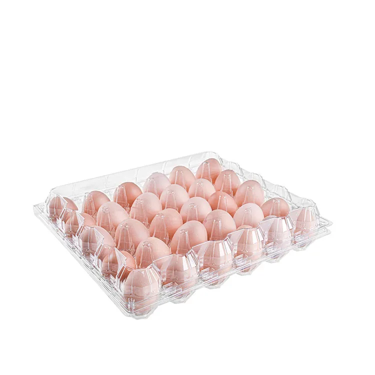 Wholesale Cheap Disposable Transparent Plastic Egg Tray