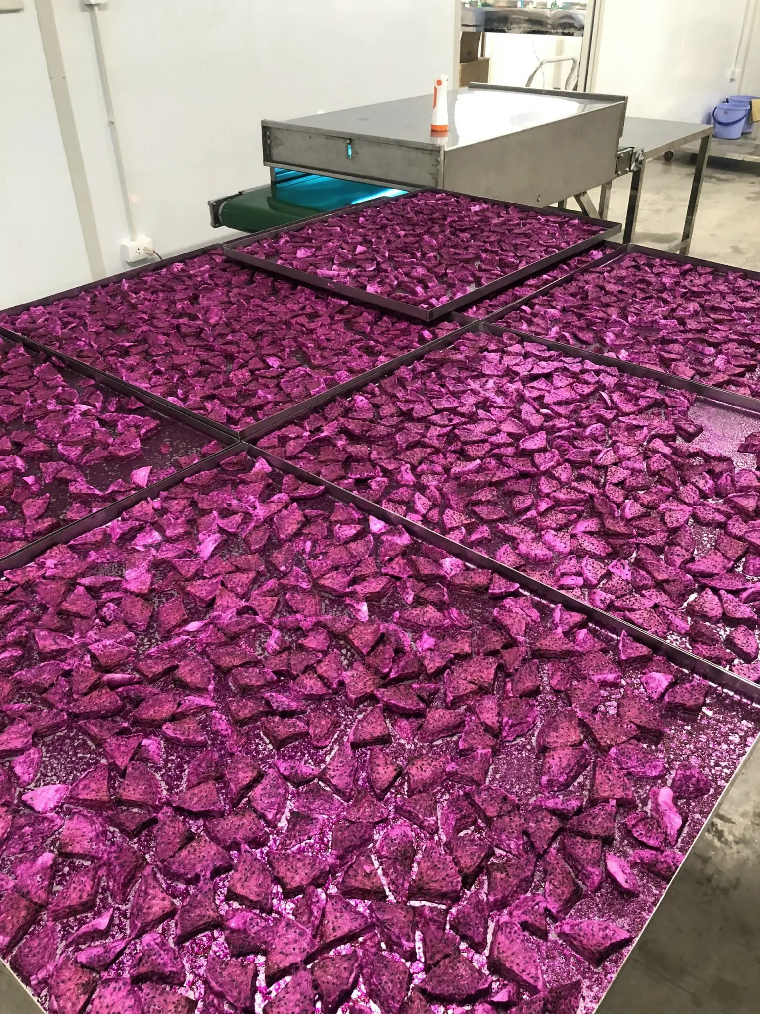 Dried dragon fruit - Good products - competitive prices in the export market in 2022