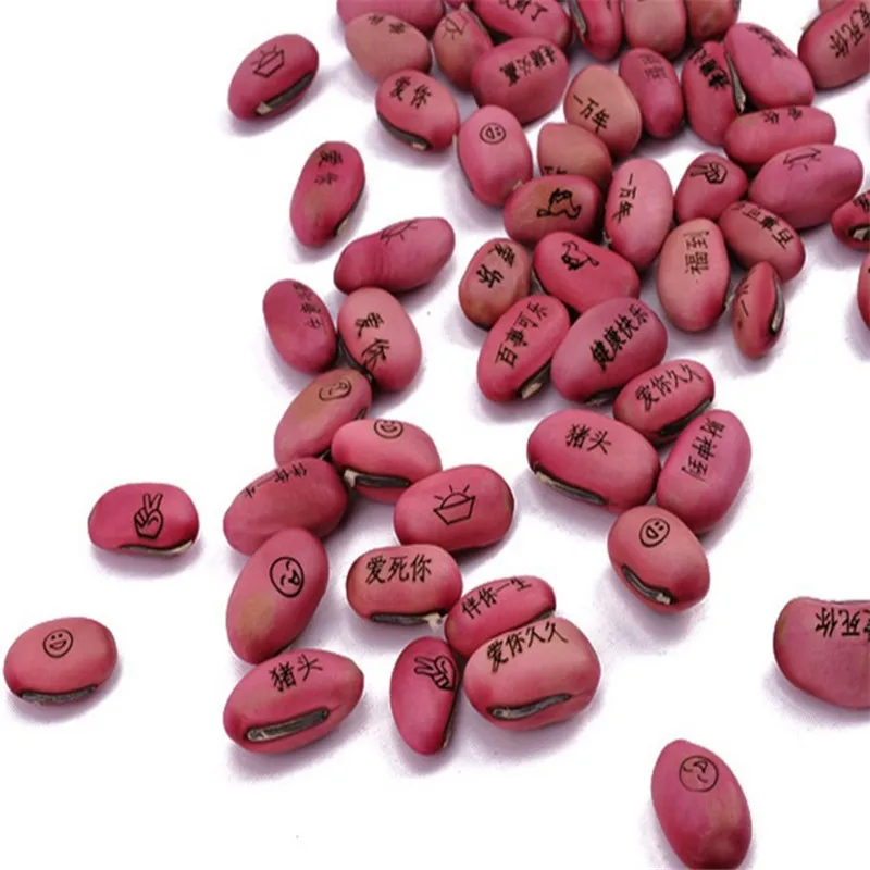 DIY Magic Bean With Wishes For Home Decoration Or Green Office