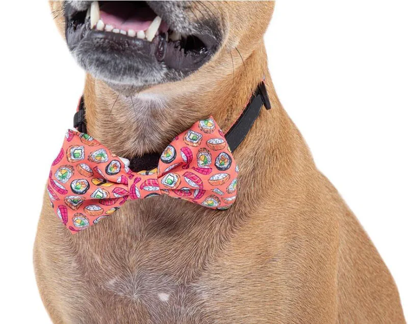 Ошейник для дрессировки собак, мягкий пластиковый ошейник с пряжкой