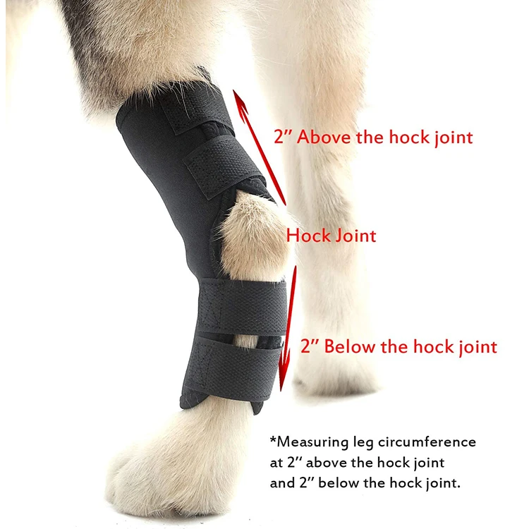 Hot Selling Recovery Breathable Protector Sleeve Dog Knee Legs Dog Hock Brace Avoid Licking Injured Leg